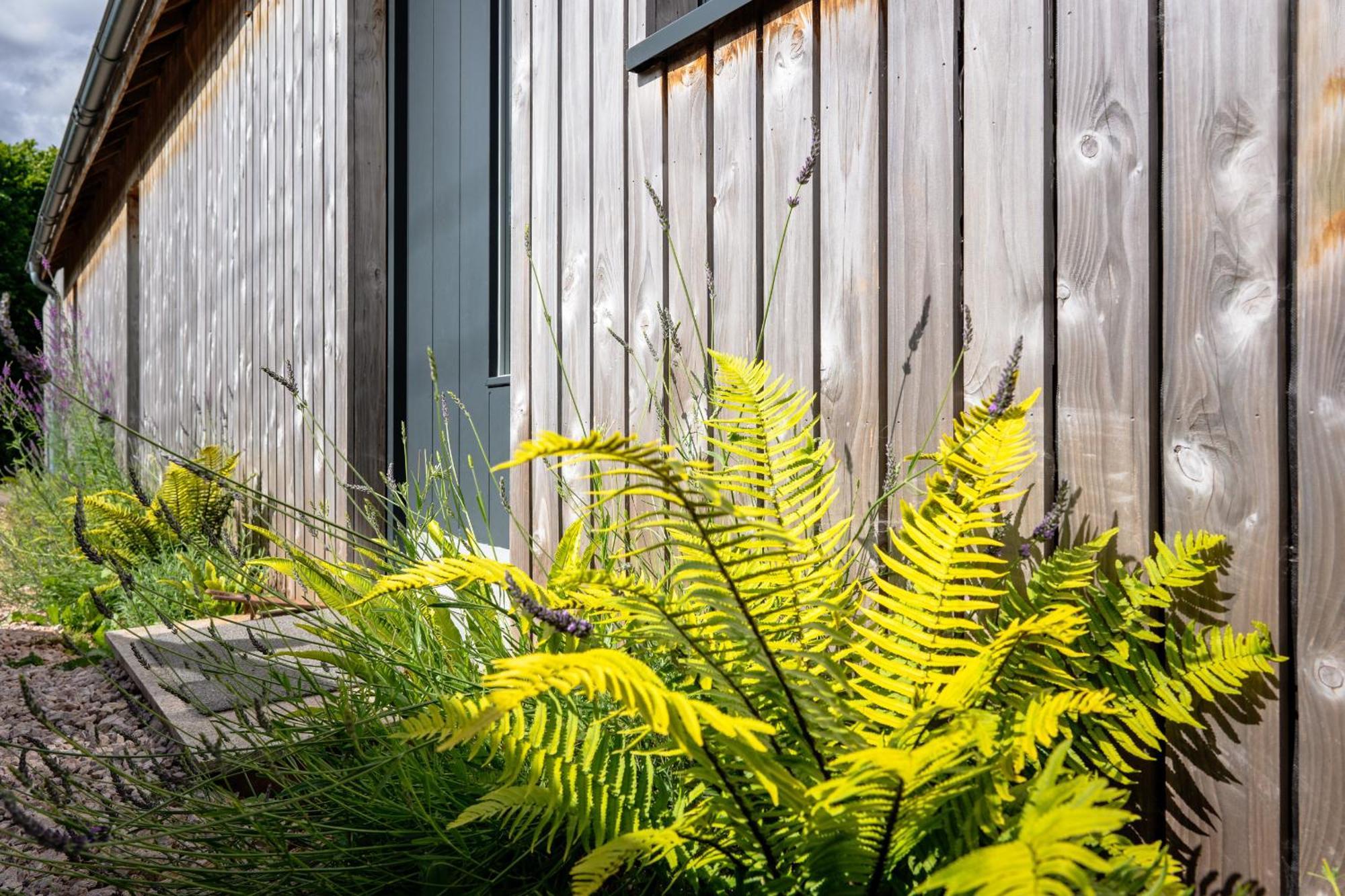 Sunnybrook - A Luxurious Carbon Neutral House Close To Beach, Shaldon Exterior foto